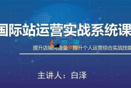 白泽《国际站运营实战系统课》