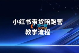 盗坤《小红书带货陪跑营》