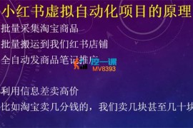 小淘《小红书虚拟自动化项目》