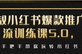 狼叔小红书爆款推广引流训练课5.0