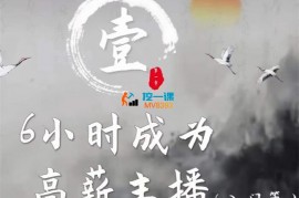 艾姐《6小时成为高薪主播》