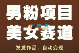 久久团队《男粉项目自动变现》
