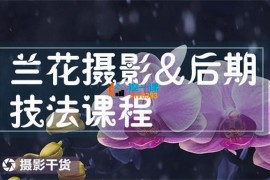 朱建华《兰花摄影后期技法》