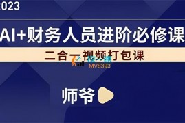 师爷《AI+财务二合一打包课》