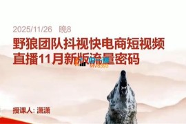 野狼团队《抖视快电商短视频流量密码》