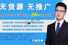 空城：拼多多零货源零推广实战课程