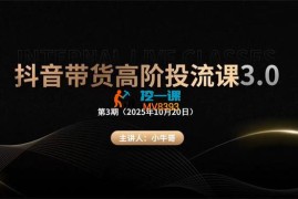 小牛哥《抖音带货高阶投流课3.0》