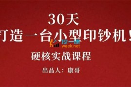 康哥《30天打造一台小型赚钱机器》