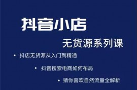 圣淘电商《抖音小店无货源系列课程》