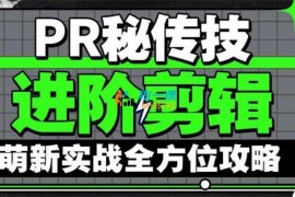 阿漱《PR秘传技进阶剪辑全方位攻略》