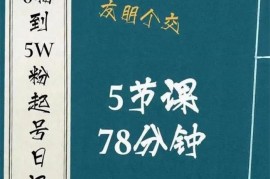 ​大志参谋《0粉到5万粉起号日记》