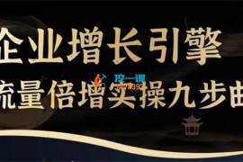 茂隆《企业增长引擎流量倍增实操九步曲》