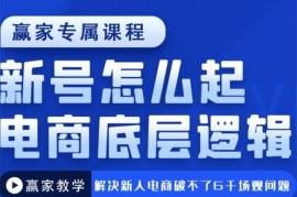 赢家《新号怎么起电商底层逻辑》