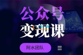 阿水团队《公众号起号写文引流变现项目》