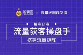 智囊圈《流量获客操盘手系统大课》