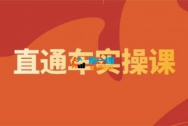 震宇《2024无界直通车系统实操课程》