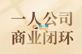 鲁细细《一人公司商业闭环》
