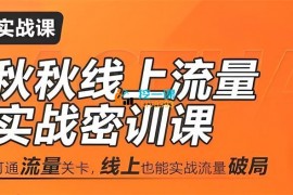 秋秋《线上流量密训班19.0》