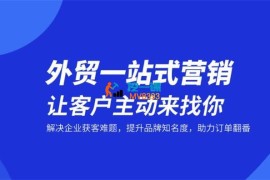 疯狂外贸《外贸全网营销实战课程》