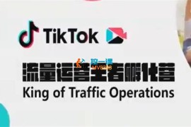 胡老师《TikTok流量运管王者孵化营》 