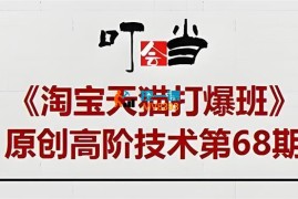 叮当会《淘宝虚拟电商2.0》