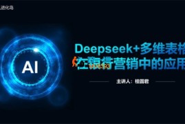 桂圆君《Deepseek+多维表格在银行营销场景中的应用》