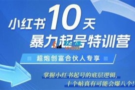 炮爷《小红书10天暴力起号特训营》