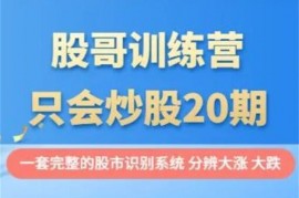 股哥《只会炒股20期训练营》