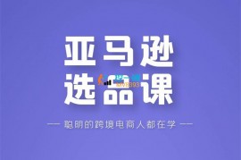 狼啸会《亚马逊选品课》