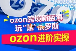 萧南《ozon进阶实操训练营》