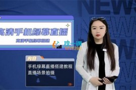 宁子《高清手机绿幕搭建》