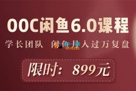 学长团队《闲鱼月人过万复盘》