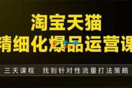 子幽《淘宝天猫精细化爆品运营线下课》