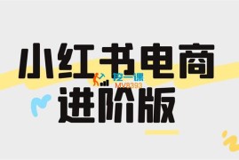 日日《小红书电商进阶版》