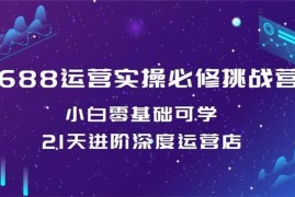 阿杜《688理论实操视频挑战营》