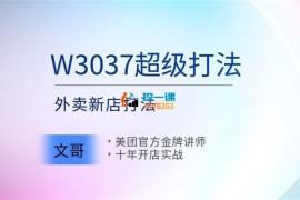 文哥《2024外卖新店超级打法》