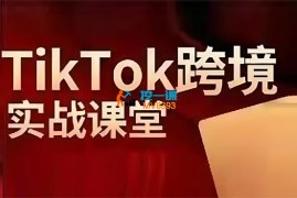 泰东《TikTok全域运营课》