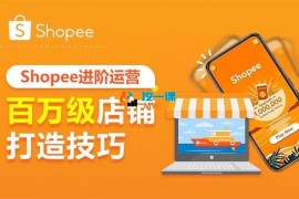 丘山《Shopee进阶运营》