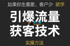 极致先生《引爆流量获客技术》