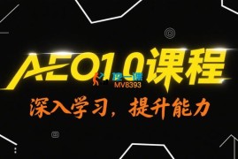 大卫《AEO1.0课程》