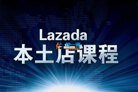 联川出海《Lazada本土店课程》