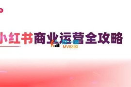 川哥《小红书商业运营全攻略》