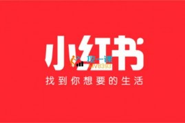 酷酷说钱《小红书必出单选品方法》