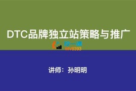 孙明明《DTC品牌独立站策略与推广》