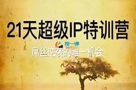 牛老师《21天超级IP特训营》