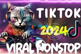 大鱼《Tiktok东南亚小店运营》