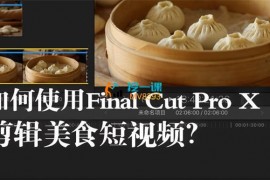 小鹿《Final Cut Pro X 视频剪辑系统课》