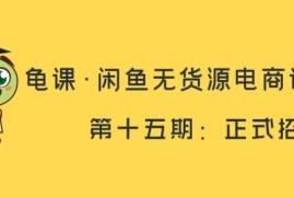 龟课闲鱼无货源电商课程第15期