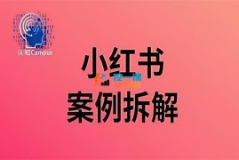 阿橘《小红书案例拆解》