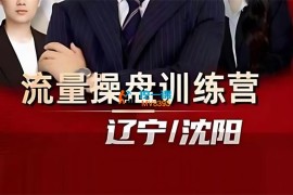 吉同学《2024IP流量操盘手线上训练营》